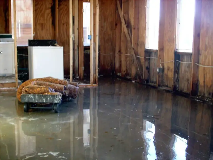 Frozen pipe burst dried in a hallway in a Coppell, TX home