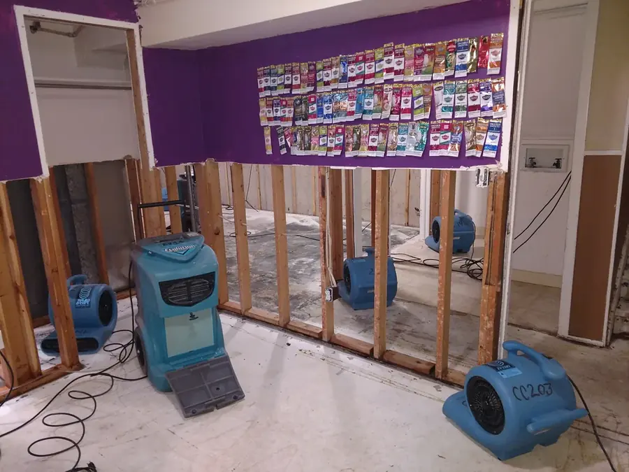 Room stripped and staged for structural drying